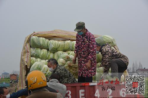 松滋司機(jī)最新招聘,松滋司機(jī)最新招聘，職業(yè)前景、要求與如何應(yīng)聘