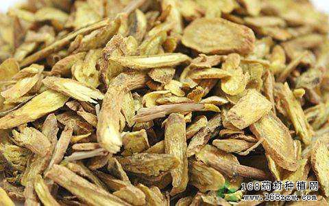 濕黃芩價(jià)格最新價(jià)格,濕黃芩價(jià)格最新行情分析