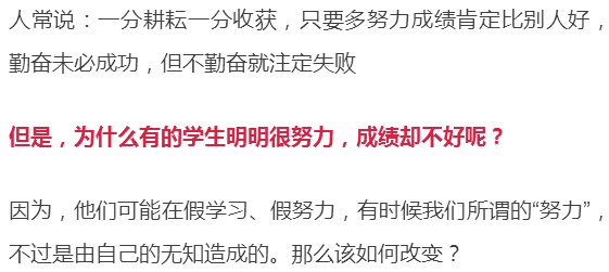 穆斯林女孩經(jīng)名最新,穆斯林女孩經(jīng)名最新趨勢(shì)，探索與啟示