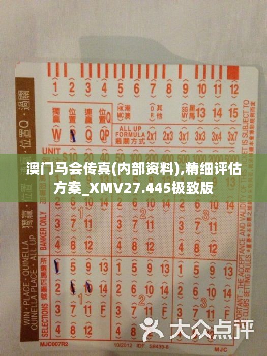 馬會(huì)傳真內(nèi)部絕密信官方下載,馬會(huì)傳真內(nèi)部絕密信官方下載，揭秘與探討