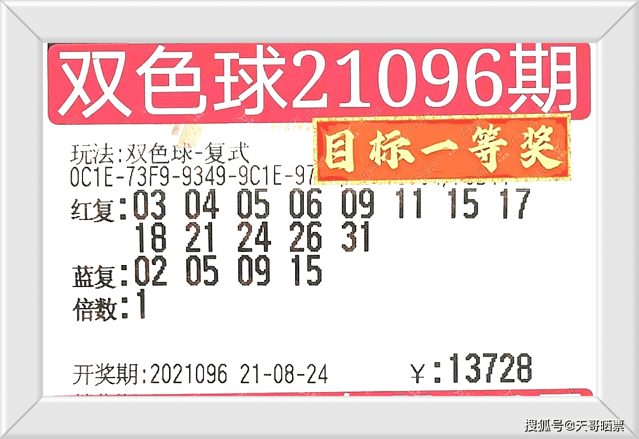 2024新澳門今晚開獎號碼和香港,探索彩票奧秘，新澳門與香港的開獎號碼展望（2024年展望）