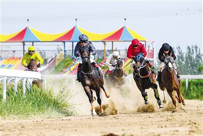 2024今晚香港開特馬,今晚香港開特馬，探索賽馬文化，體驗(yàn)速度與激情