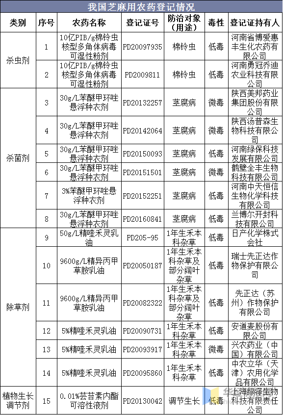 新澳資料免費長期公開嗎,新澳資料免費長期公開，可能性與影響分析