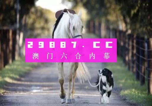 新澳2024年精準(zhǔn)一肖一碼,新澳2024年精準(zhǔn)一肖一碼，預(yù)測與探索