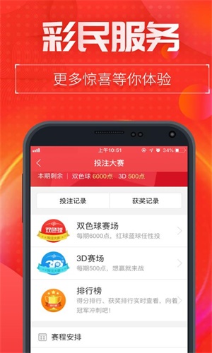 王中王493333中特1肖,王中王493333中特1肖，探索與解讀