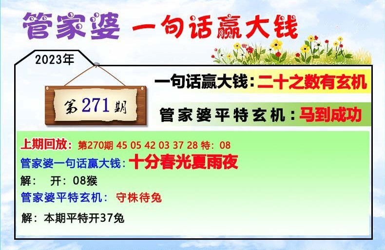 澳門一肖一碼100管家婆9995,澳門一肖一碼與管家婆9995，探索與解析