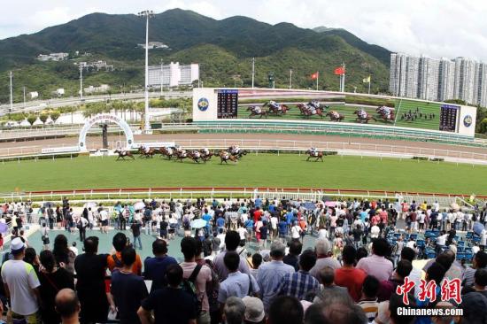 香港馬資料更新最快的,香港賽馬資料更新的速度與深度，與時(shí)俱進(jìn)，掌握最新動(dòng)態(tài)