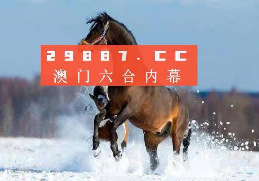 今晚一肖一碼澳門一肖四不像,今晚一肖一碼澳門一肖四不像，探索與解析