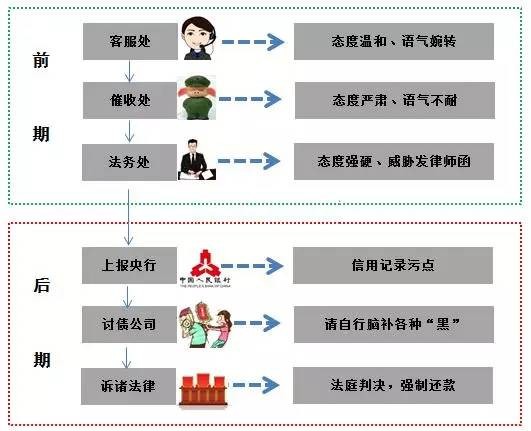 二四六期期準資料公開,二四六期期準資料公開，探索與啟示