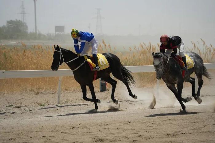 2024今晚香港開特馬,今晚香港開特馬，探索賽馬運動的魅力與未來展望