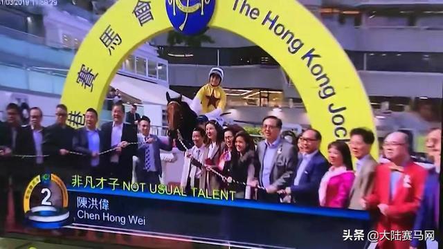 2024今晚香港開特馬開什么,探索香港賽馬文化，2024今晚特馬盛宴展望