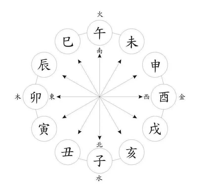 一肖一碼,一肖一碼，探索數(shù)字與生肖的奧秘