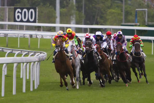 2024今晚香港開特馬開什么,探索香港賽馬文化，2024今晚特馬賽事展望