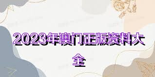 2023年正版資料免費(fèi)大全, 2023年正版資料免費(fèi)大全，探索與分享