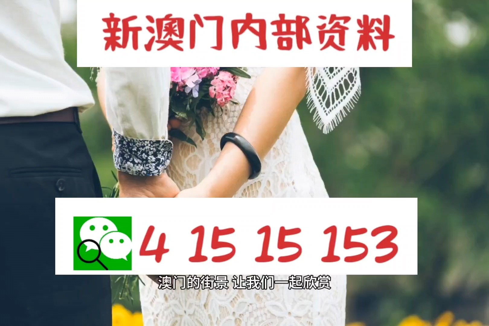 精準(zhǔn)一肖100%今天澳門,精準(zhǔn)一肖100%，揭秘澳門今天的秘密