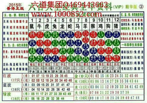 2024十二生肖49碼表,揭秘2024十二生肖與數(shù)字彩票的奇妙結合——49碼表詳解