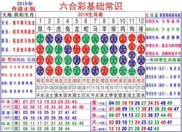 澳門正版資料大全資料生肖卡,澳門正版資料大全資料生肖卡，探索與解析