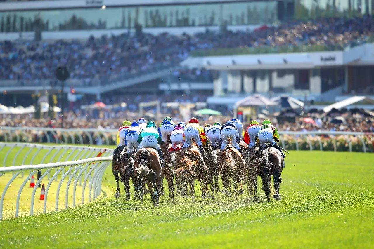 2024今晚香港開(kāi)特馬,今晚香港開(kāi)特馬，探尋賽馬文化的魅力與激情