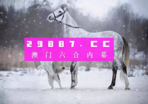 澳門精準(zhǔn)一肖一碼一碼,澳門精準(zhǔn)一肖一碼一碼，探索與解析