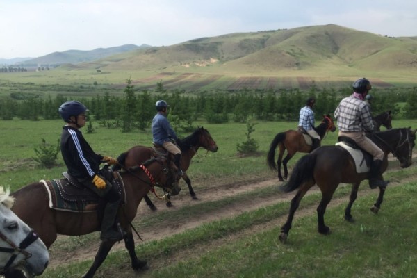 今晚澳門馬出什么特馬,今晚澳門馬會出什么樣的特馬？探索神秘馬場的奇幻之旅