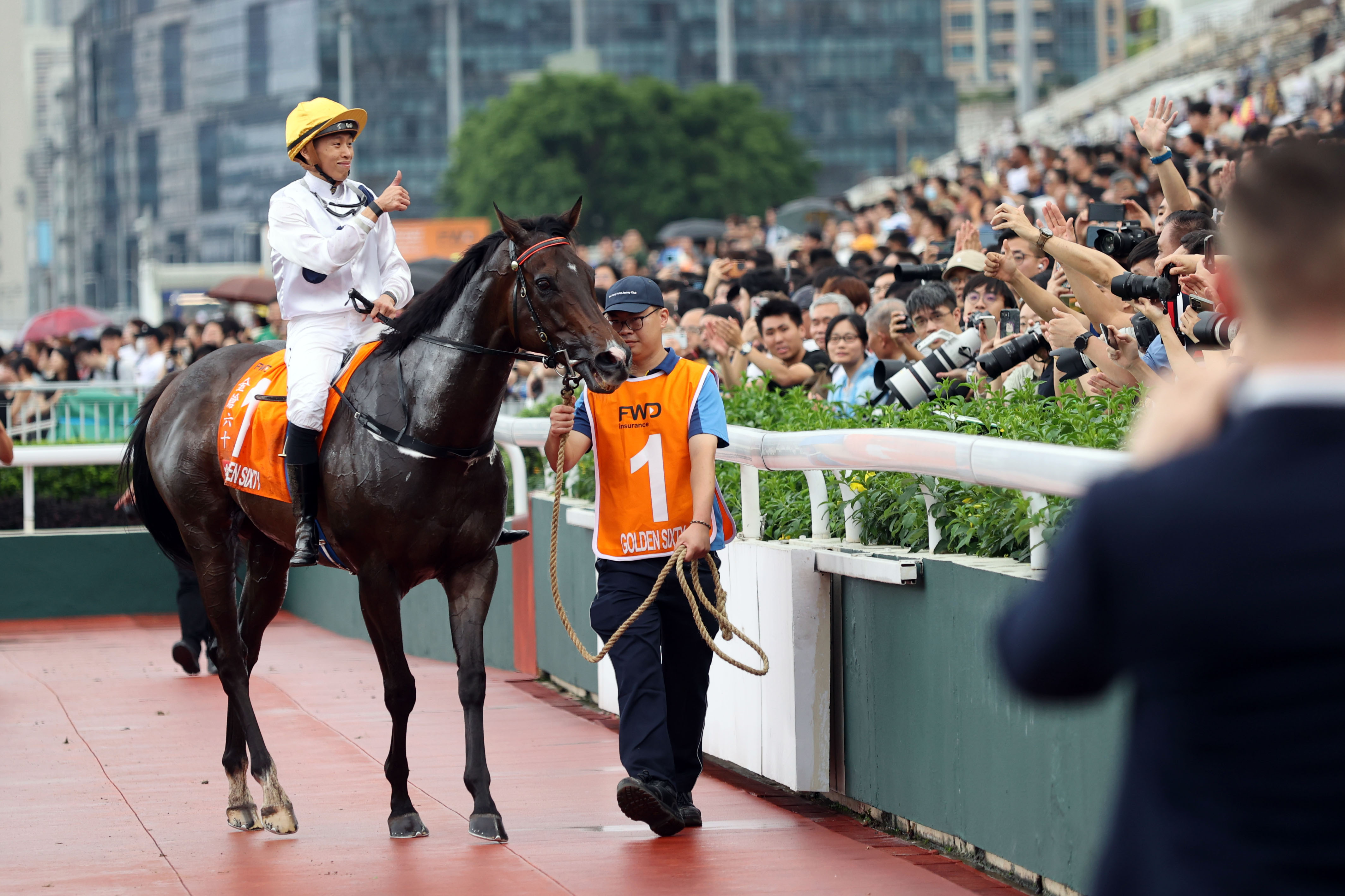 香港馬買馬網站www,香港馬買馬網站www——探索賽馬文化的獨特魅力