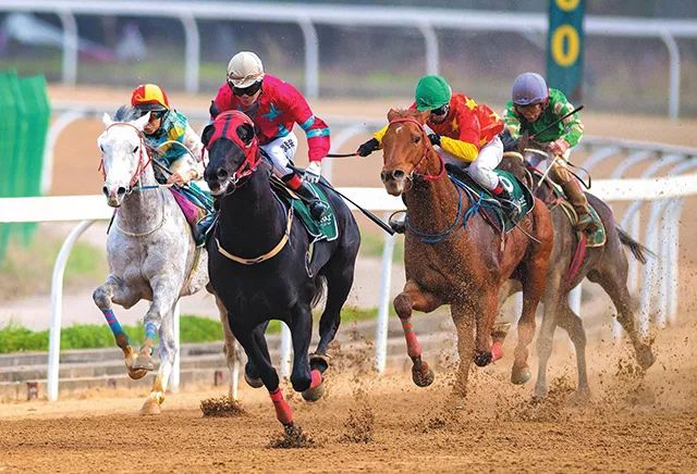 新澳今天開什么特馬,新澳今日開馬揭曉，探索賽馬運(yùn)動的激情與魅力